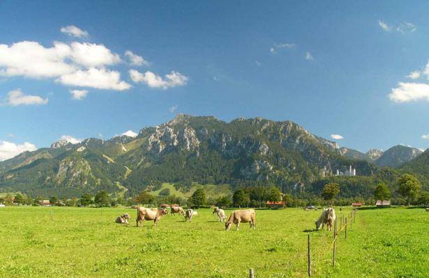 Jaegerhof Und Jaegerstadel Schwangau Eksteriør billede